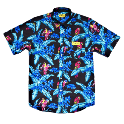 J Skis x High Fives | Stretch Tech